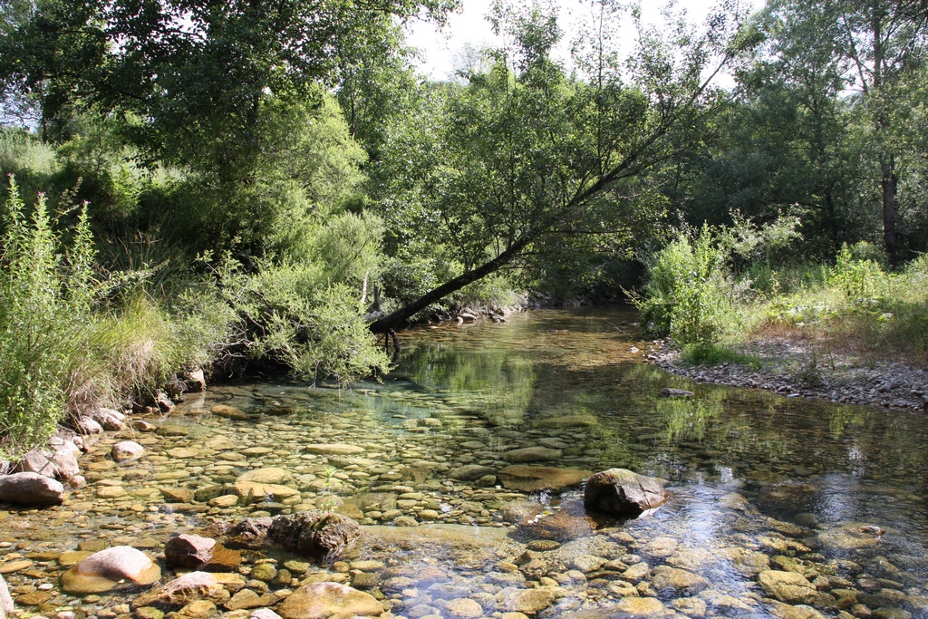 Fiume Calore - Loc. Gorgonero