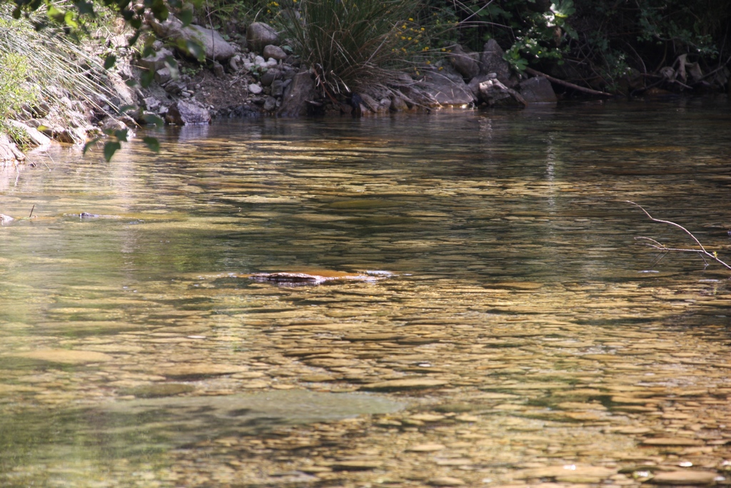 Fiume Calore - Loc. Gorgonero